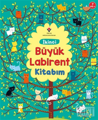 İkinci Büyük Labirent Kitabım